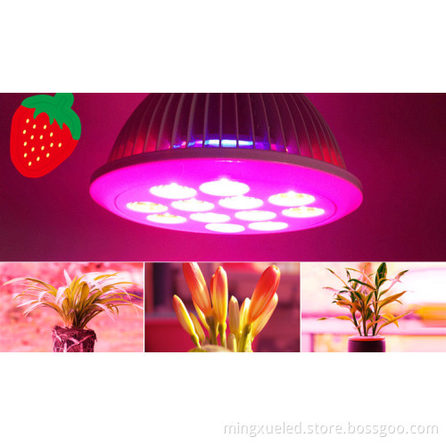 Helper Of Family Plant Light And greenhouse 12w Par LED grow light